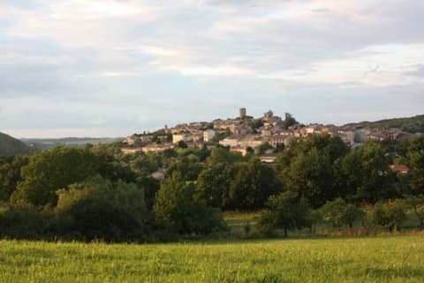Couvreur Aurignac