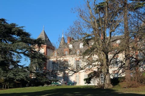 Couvreur Pin-Balma